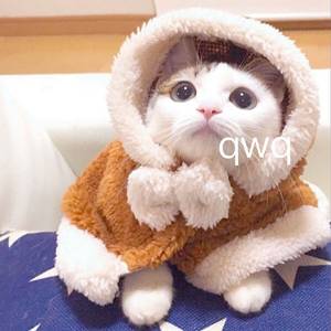 范冰冰扒开粉嫩尿囗让男人桶
